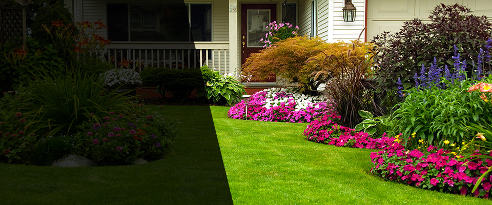 Wilton Landscapers